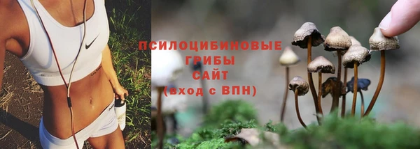 гидра Алзамай