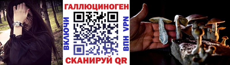 магазин  наркотиков  Юрьев-Польский  Псилоцибиновые грибы ЛСД 